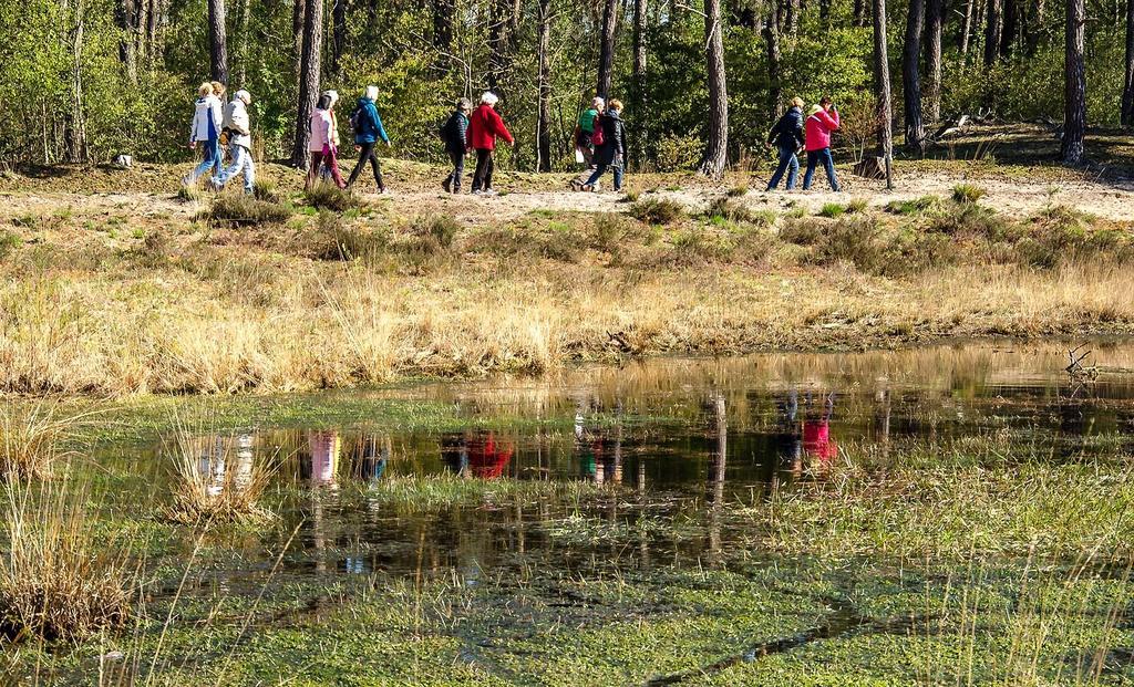 Harba Lorifa Vandrerhjem Valkenswaard Eksteriør bilde